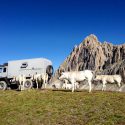 Moser Fahrzeugbau / Kunden - Urlaubsreise mit einem Offroad-Caravan ins Hochgebirge nach Afrika